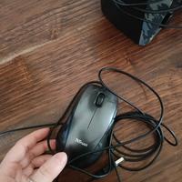 mouse
