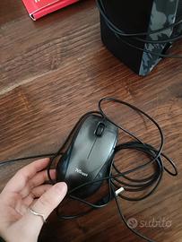 mouse