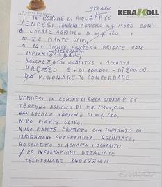 Terreno con casa