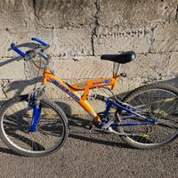 Bicicletta Mountain bike mtb