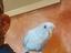 Immagine 6