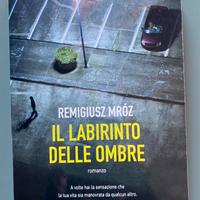 Il labirinto delle ombre  di Remigiusz Mróz