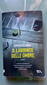 Il labirinto delle ombre  di Remigiusz Mróz