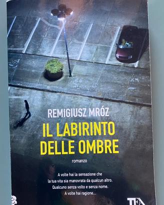 Il labirinto delle ombre  di Remigiusz Mróz