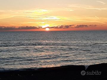 Immobili OSTIA LEVANTE