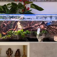 Acquaterrario zolux 100 cm + plafoniera a LED.