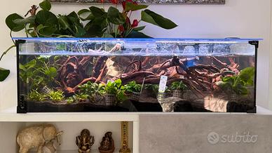 Acquaterrario zolux 100 cm + plafoniera a LED.