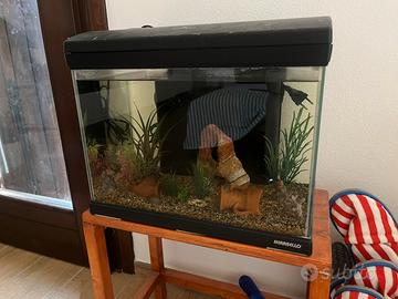 Acquario mirabello 45lt