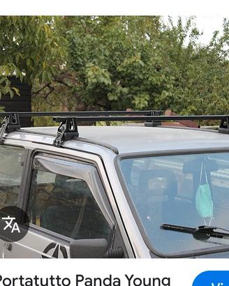 portapacchi fiat panda young