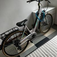 Bicicletta elettrica