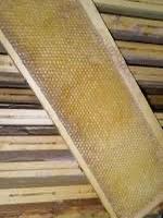 Melari con telaini costruiti