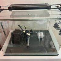 Acquario 45 litri completo di tutto