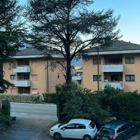 legna di cedro per lavori