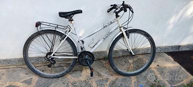 Due biciclette come da foto