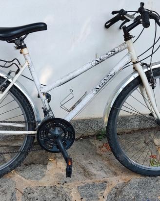 Due biciclette come da foto