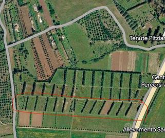 Terreno agricolo