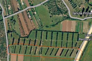Terreno agricolo