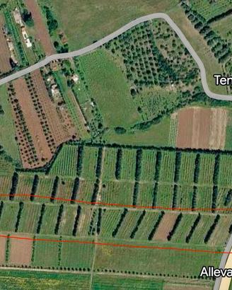 Terreno agricolo