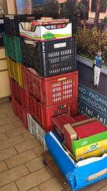 libri usati, dal 1940 al 2023