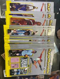 Raccolta figurine panini