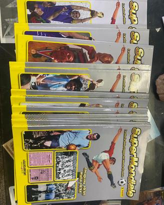 Raccolta figurine panini