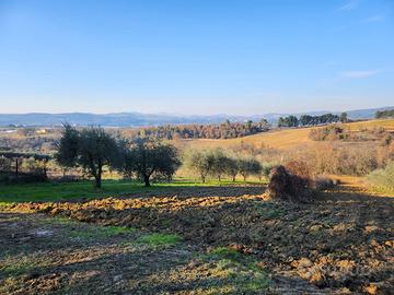 Terreno in strada del Sonatore