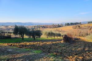 Terreno in strada del Sonatore