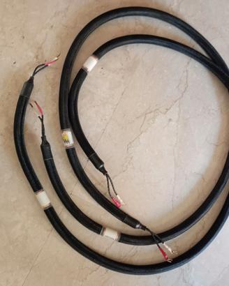 Speaker Cables Meleos 2,5m