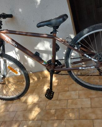 bici raggazi
