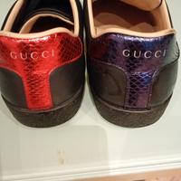 scarpe Gucci ace