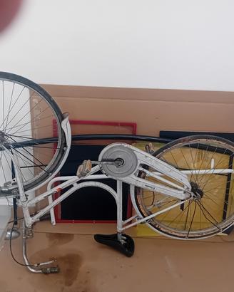 Bici per campagna 