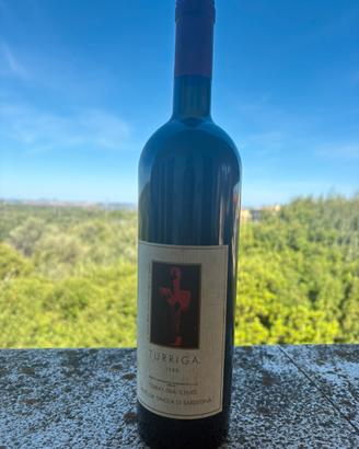 Bottiglia vino rosso