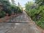 Immagine 29