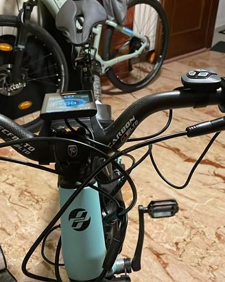 Bici elettrica motore 1000w