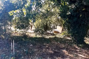 Terreno agricolo zona Grotte Santo Stefano (vt)