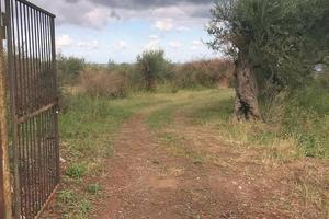 Terreno a Spartà rif. GIH-5021