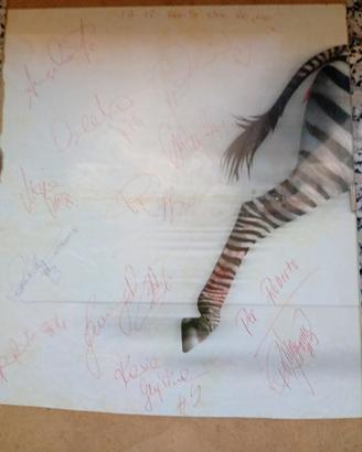 autografi Foppapedretti Bergamo pallavolo