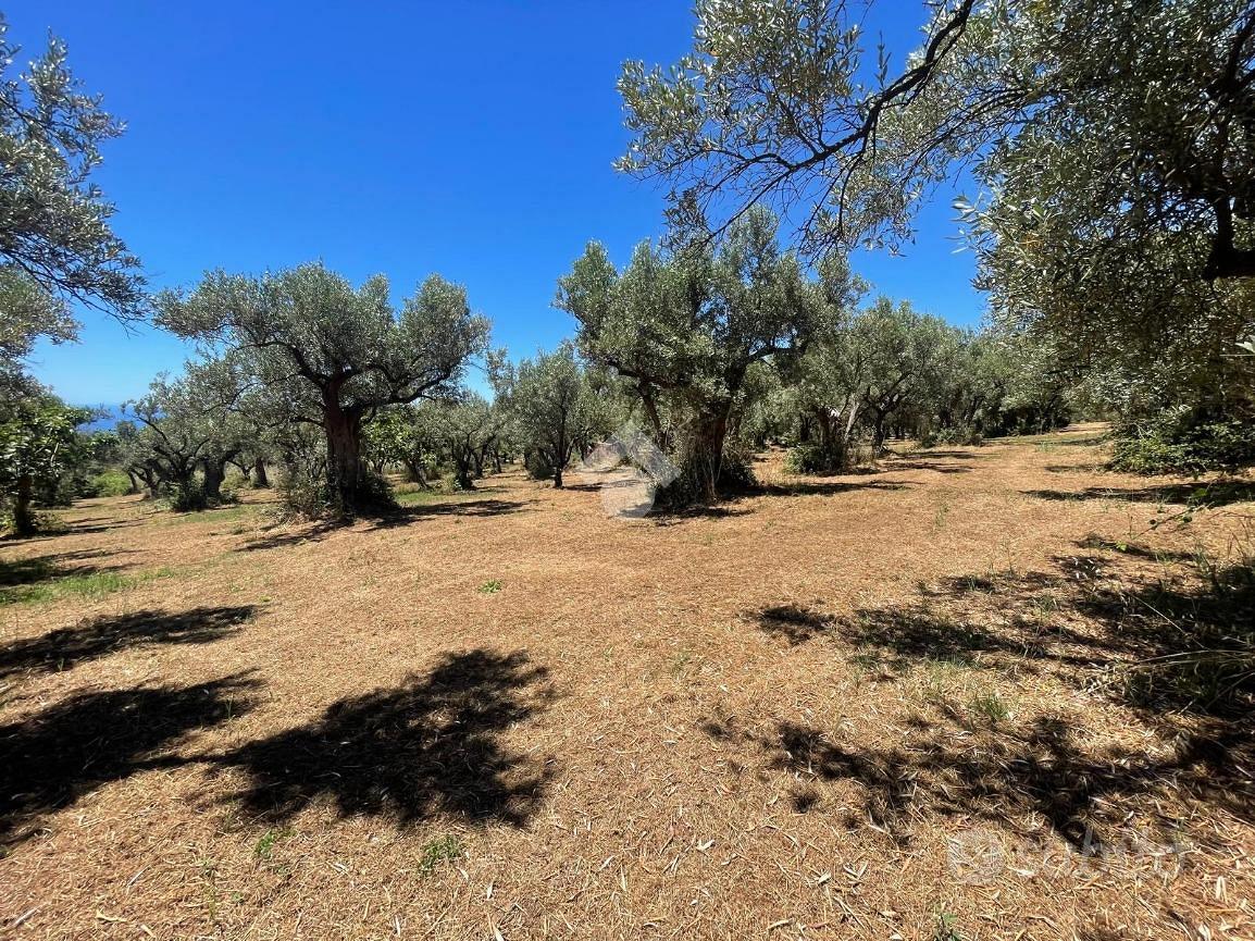 TER. AGRICOLO A NOCERA TERINESE - Vista 2