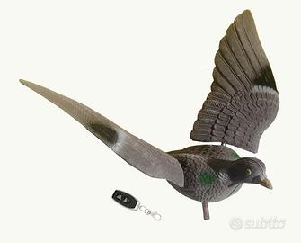 Colombaccio ali inchinate rotanti