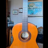 Chitarra Acustica 'ZeroSette' mod.C-10 Anno 1982 