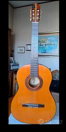 Chitarra Acustica 'ZeroSette' mod.C-10 Anno 1982 