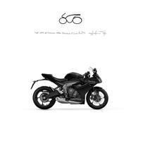 TRIUMPH Daytona 660 MY