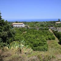 Terreno - Acireale