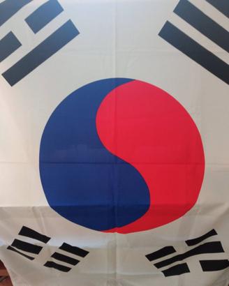 BANDIERA COREA DEL SUD - CM 90 X 130