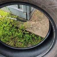 treno di 4 gomme ESTIVE