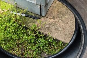 treno di 4 gomme ESTIVE