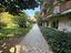 Immagine 29