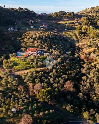 TER. AGRICOLO A COSTARAINERA