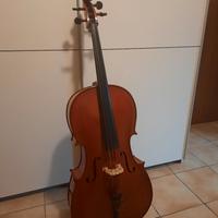 violoncello 