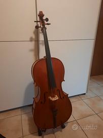 violoncello 